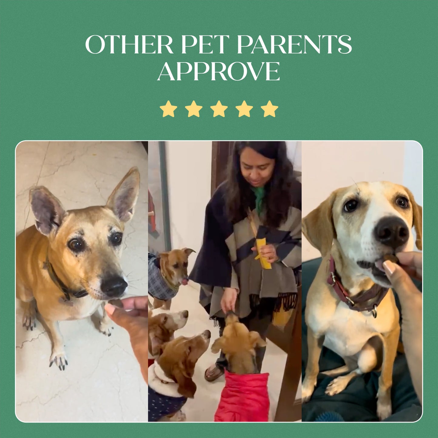 All-in-One Vegan Hoplet™  for Dogs | Daily Nutrition Chew