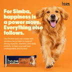 Everyday Protein Bar for Dogs Fish | 7 Bars