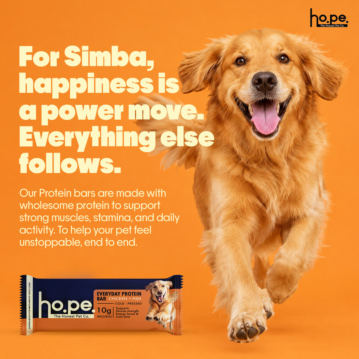 Everyday Protein Bar for Dogs Fish | 7 Bars