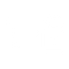 Secure checkout