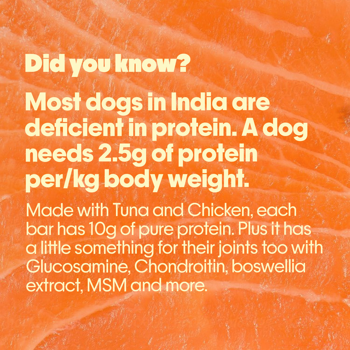 Everyday Protein Bar for Dogs Fish | 7 Bars