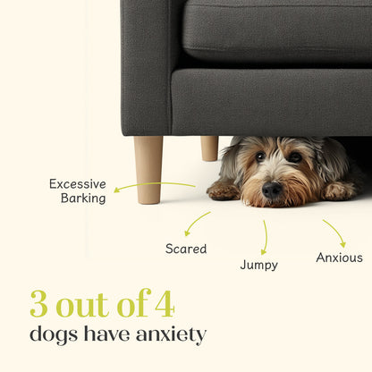 Calming Chicken Hoplet™ for Dogs | Anxiety Relief Chew