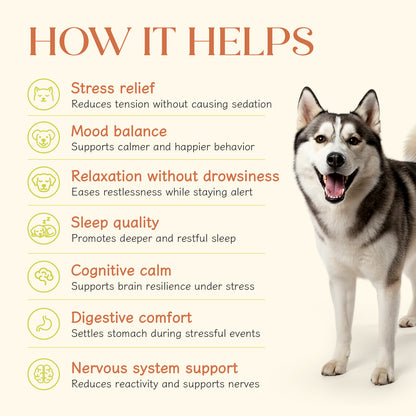 Calming Chicken Hoplet™ for Dogs | Anxiety Relief Chew