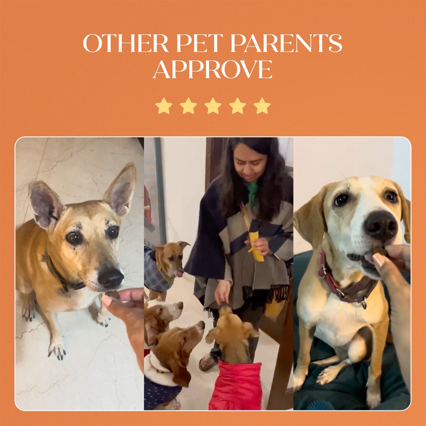 Calming Chicken Hoplet™ for Dogs | Anxiety Relief Chew