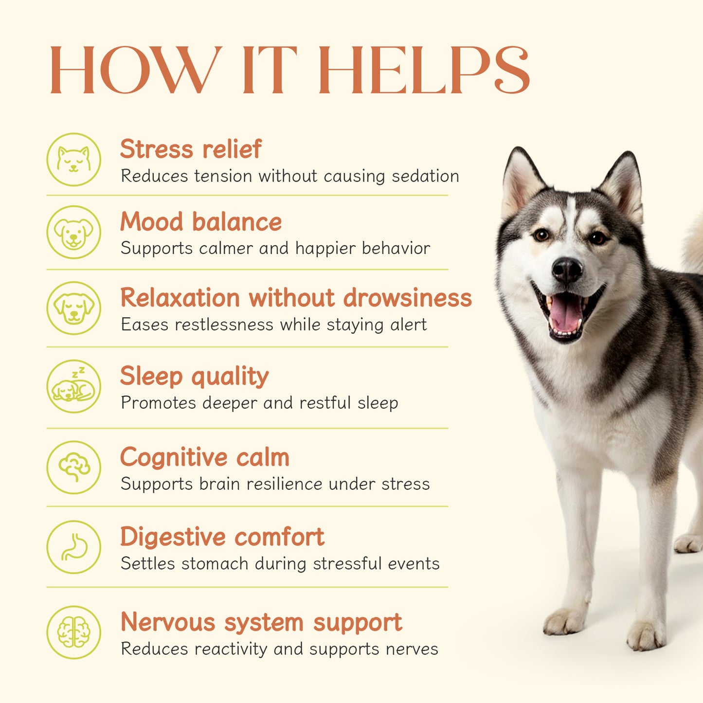 Calming Chicken Hoplet™ for Dogs | Anxiety Relief Chew