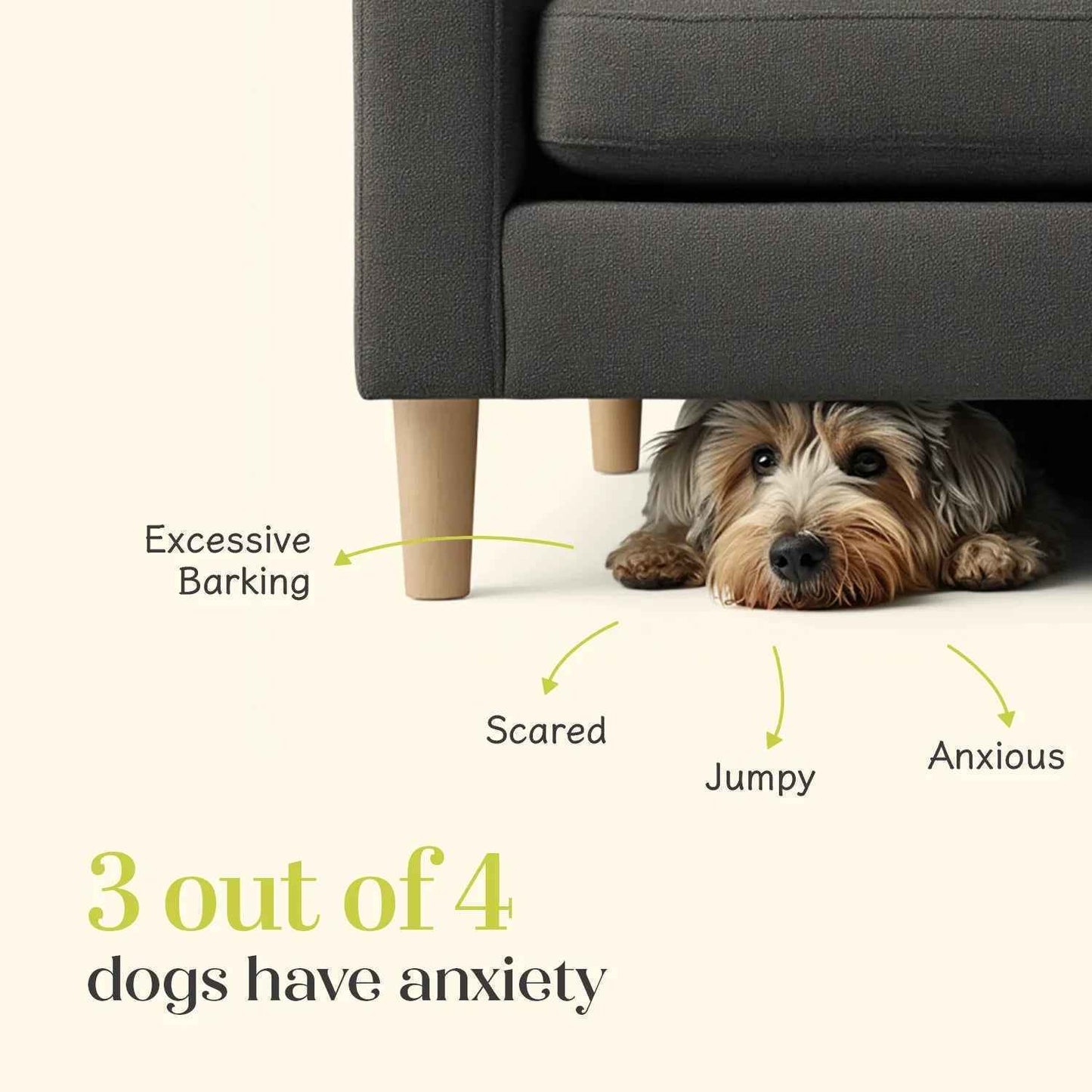 Calming Vegan Hoplet™ for Dogs | Anxiety Relief Chew (60 Hoplets)