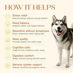 All-in-One Chicken Hoplet™ for Dogs | Daily Nutrition Chew 30 Hoplets