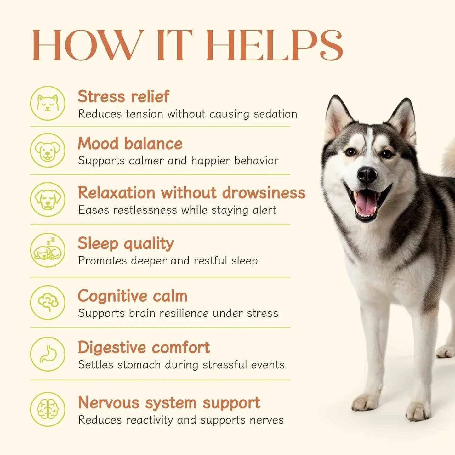 Calming Vegan Hoplet™ for Dogs | Anxiety Relief Chew (60 Hoplets)