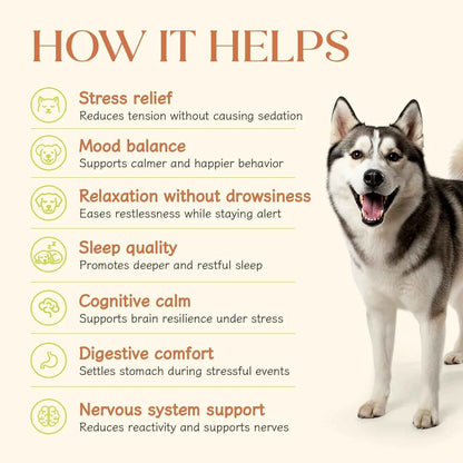 Calming Vegan Hoplet™ for Dogs | Anxiety Relief Chew (60 Hoplets)