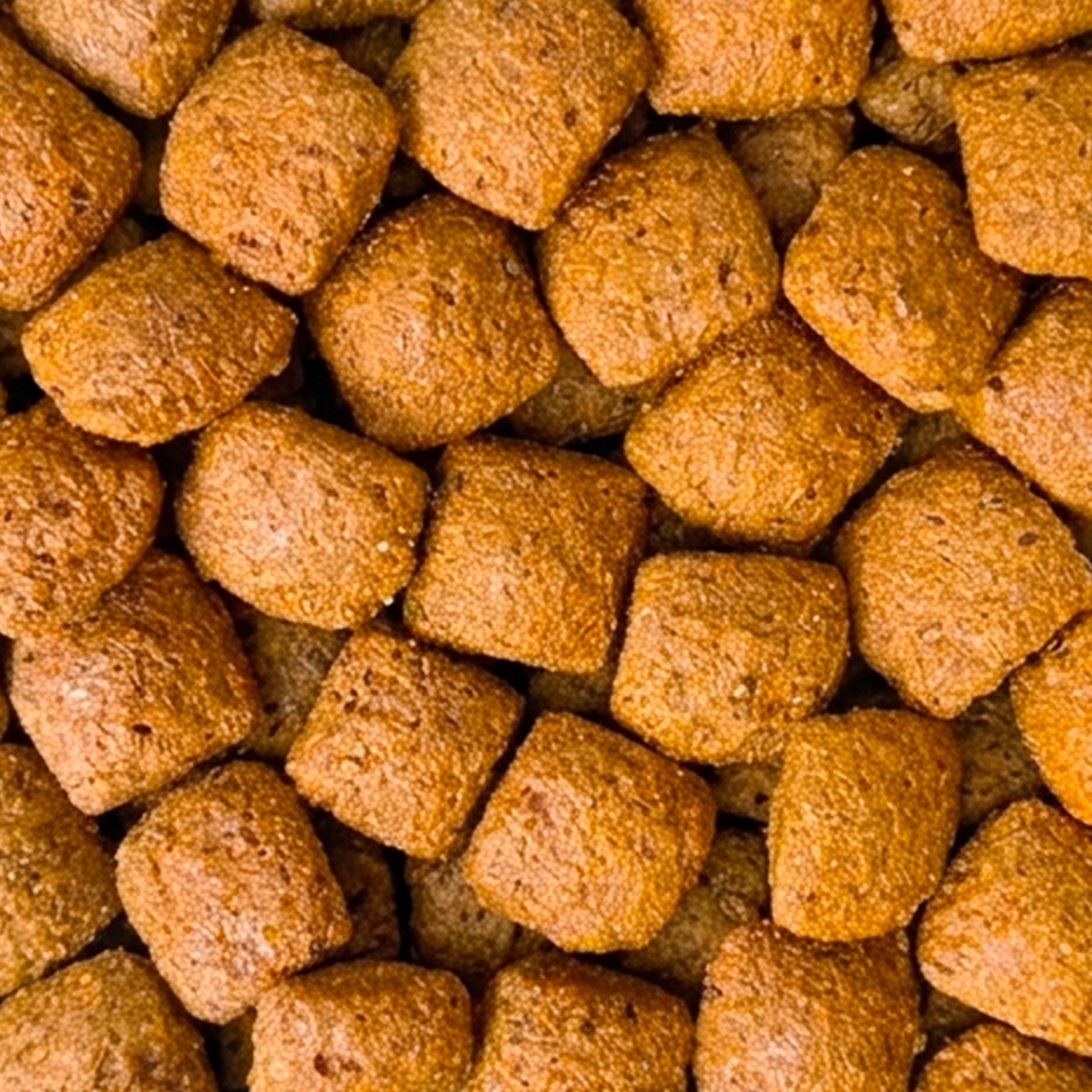 Hip + Joint Vegan Hoplet™ for Dogs | Mobility Chew 30 Hoplets