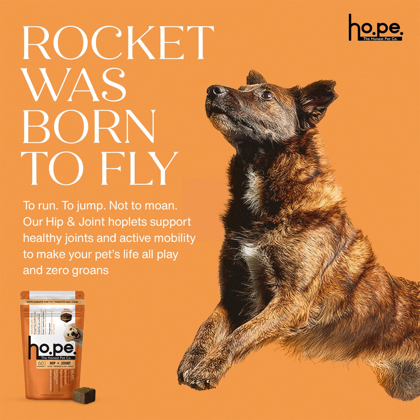 Hip + Joint Chicken Hoplet™ for Dogs | Mobility Chew
