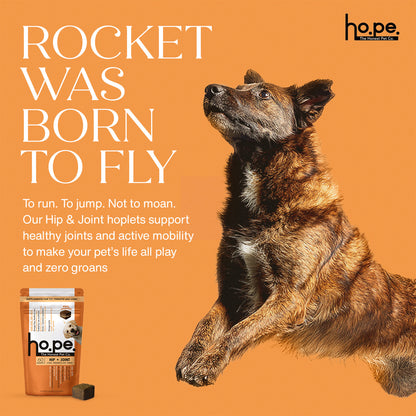 Hip + Joint Chicken Hoplet™ for Dogs | Mobility Chew