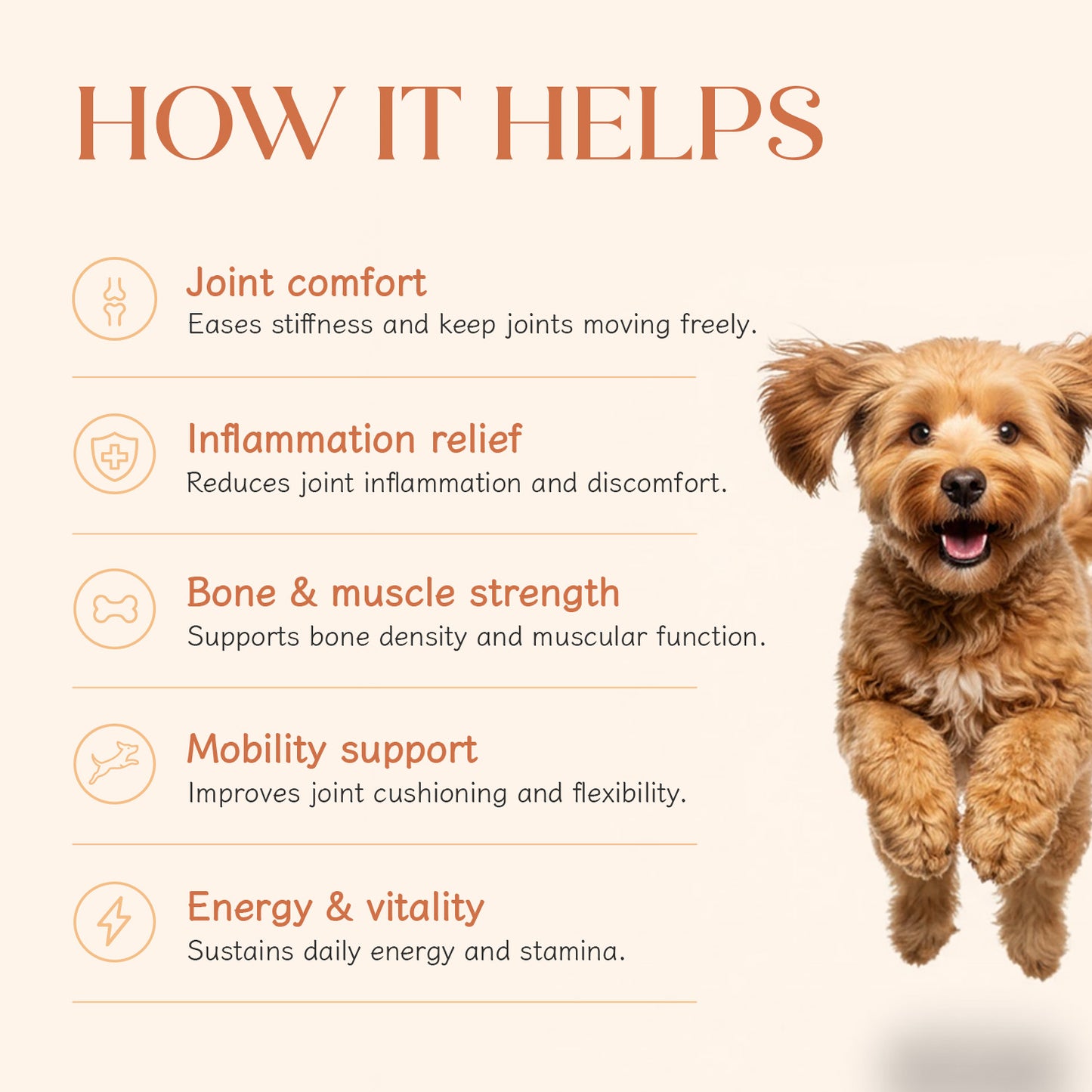 Hip + Joint Chicken Hoplet™ for Dogs | Mobility Chew