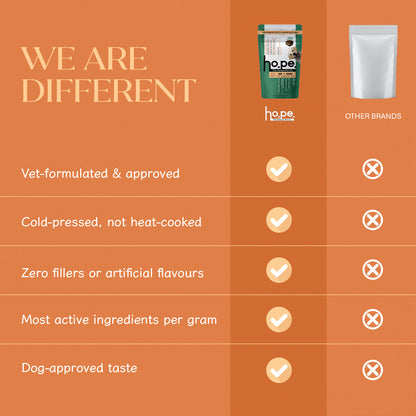 Hip + Joint Vegan Hoplet™ for Dogs | Mobility Chew