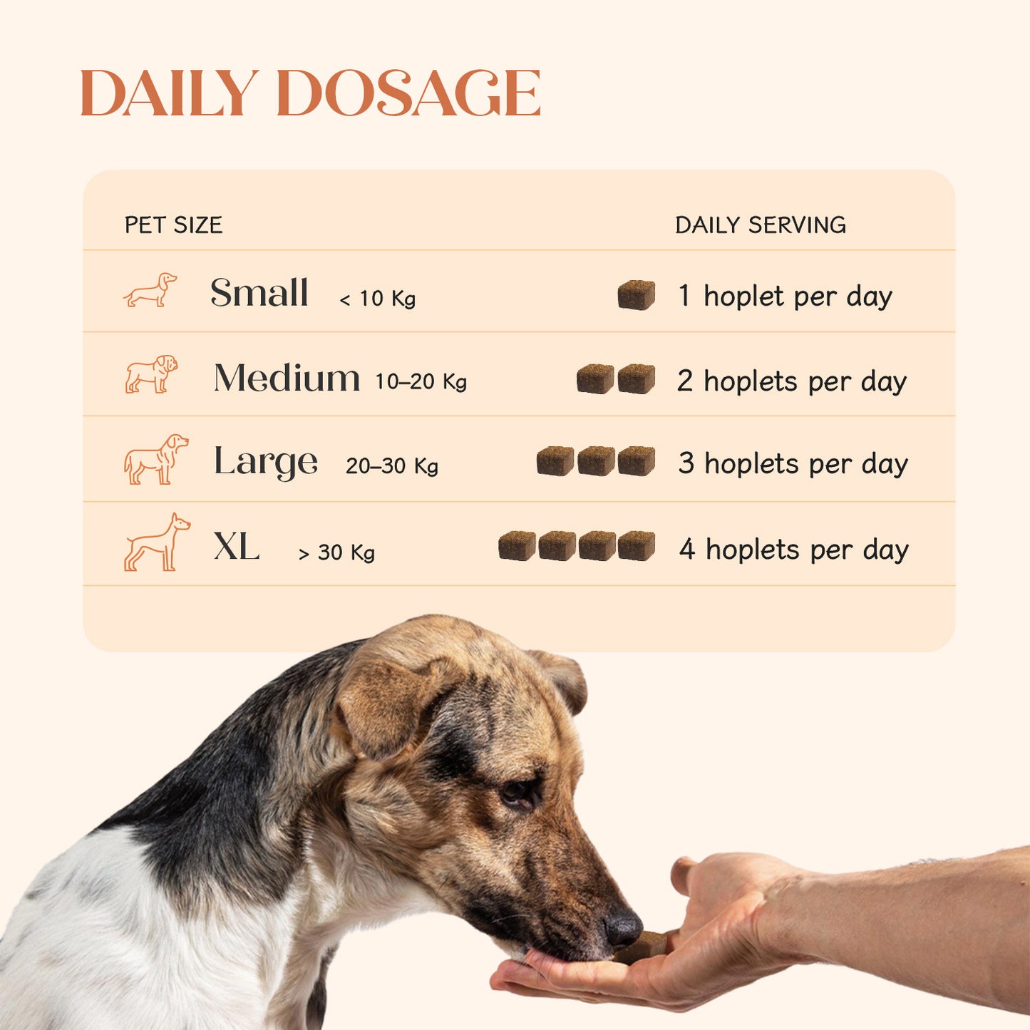 Hip + Joint Vegan Hoplet™ for Dogs | Mobility Chew