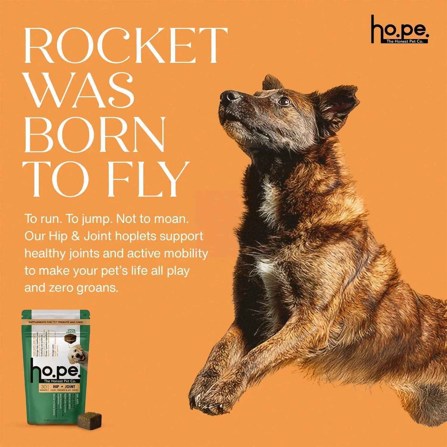 Hip + Joint Vegan Hoplet™ for Dogs | Mobility Chew (60 Hoplets)