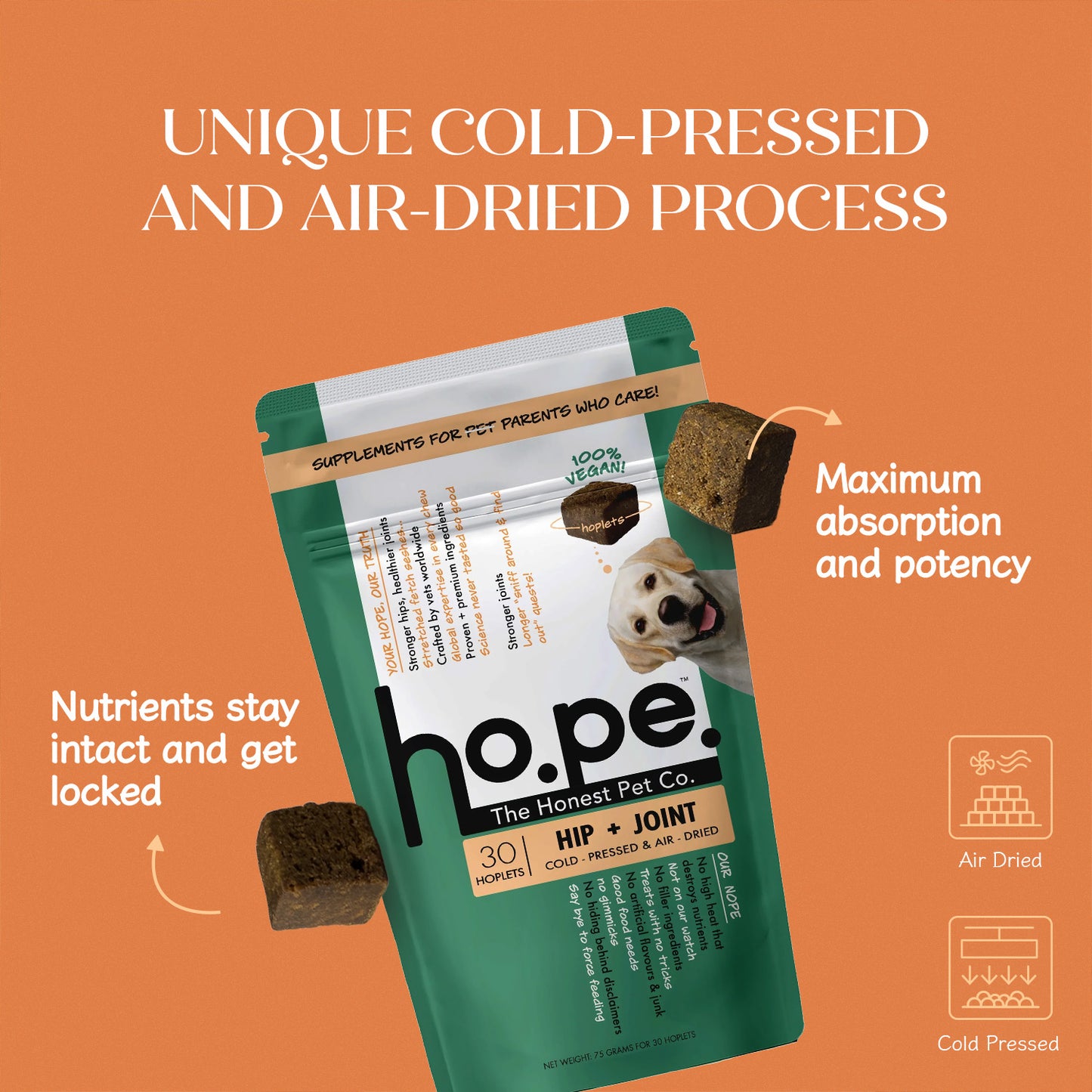 Hip + Joint Vegan Hoplet™ for Dogs | Mobility Chew