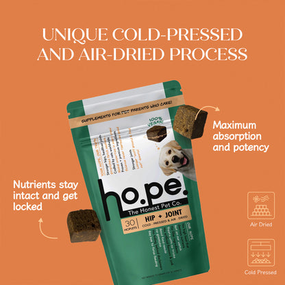 Hip + Joint Vegan Hoplet™ for Dogs | Mobility Chew
