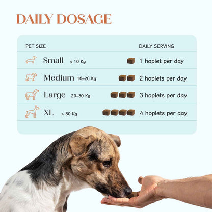 Pre + Probiotic Chicken Hoplet™ for Dogs | Gut Health Chew (90 Hoplets)