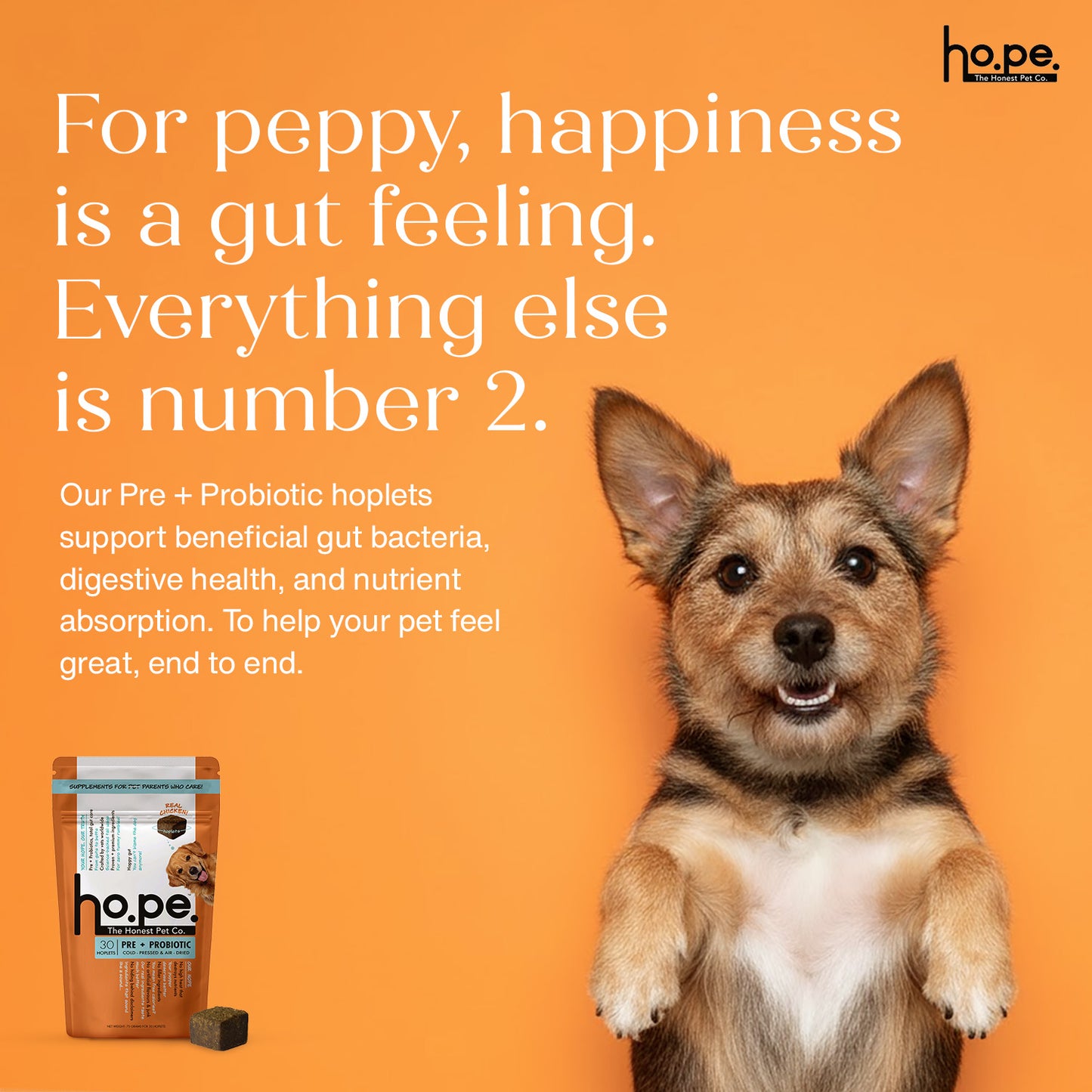 Pre + Probiotic Chicken Hoplet™ for Dogs | Gut Health Chew