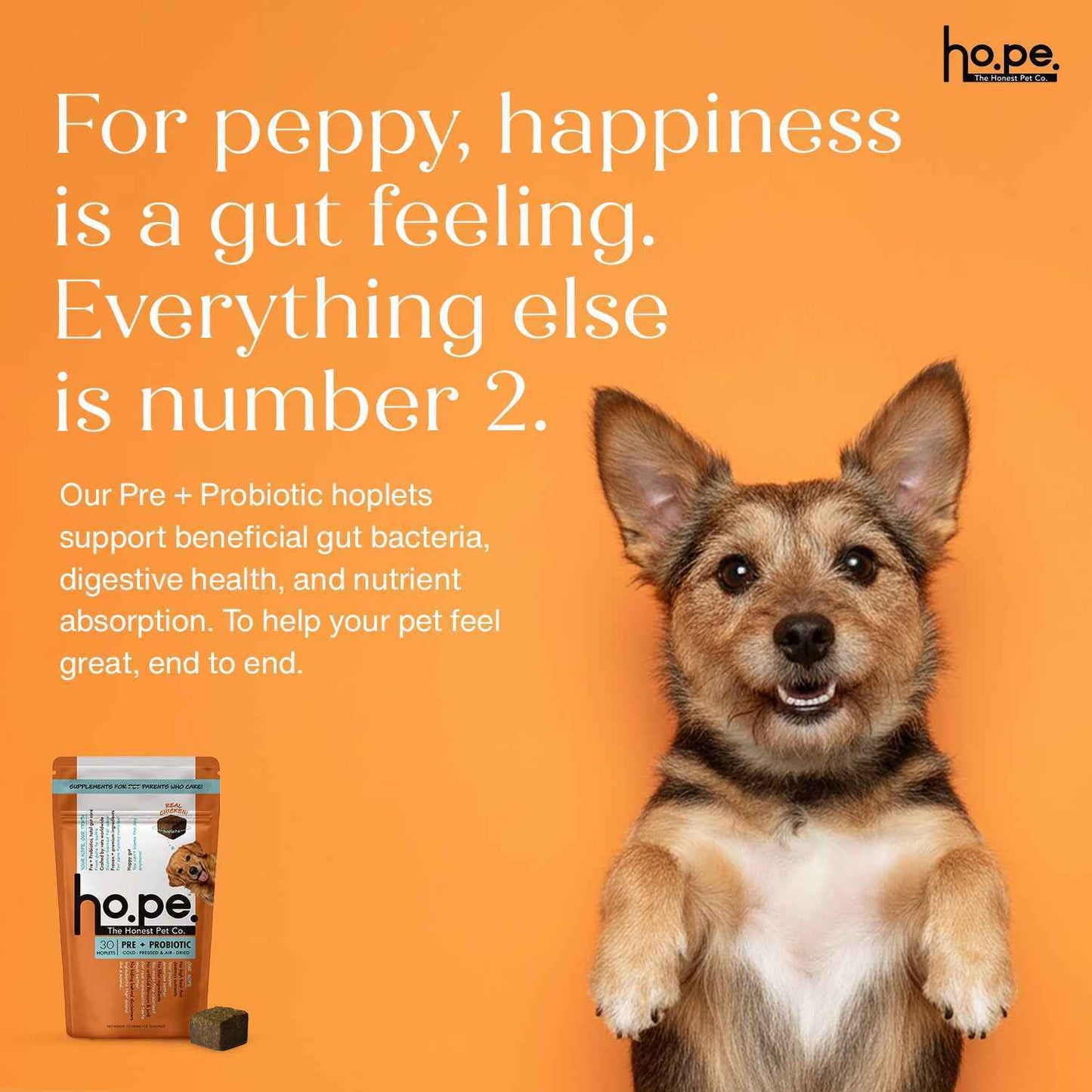 Pre + Probiotic Chicken Hoplet™ for Dogs | Gut Health Chew (90 Hoplets)