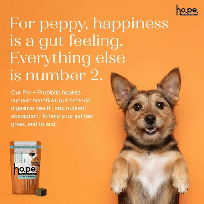 Pre + Probiotic Chicken Hoplet™ for Dogs | Gut Health Chew (90 Hoplets)