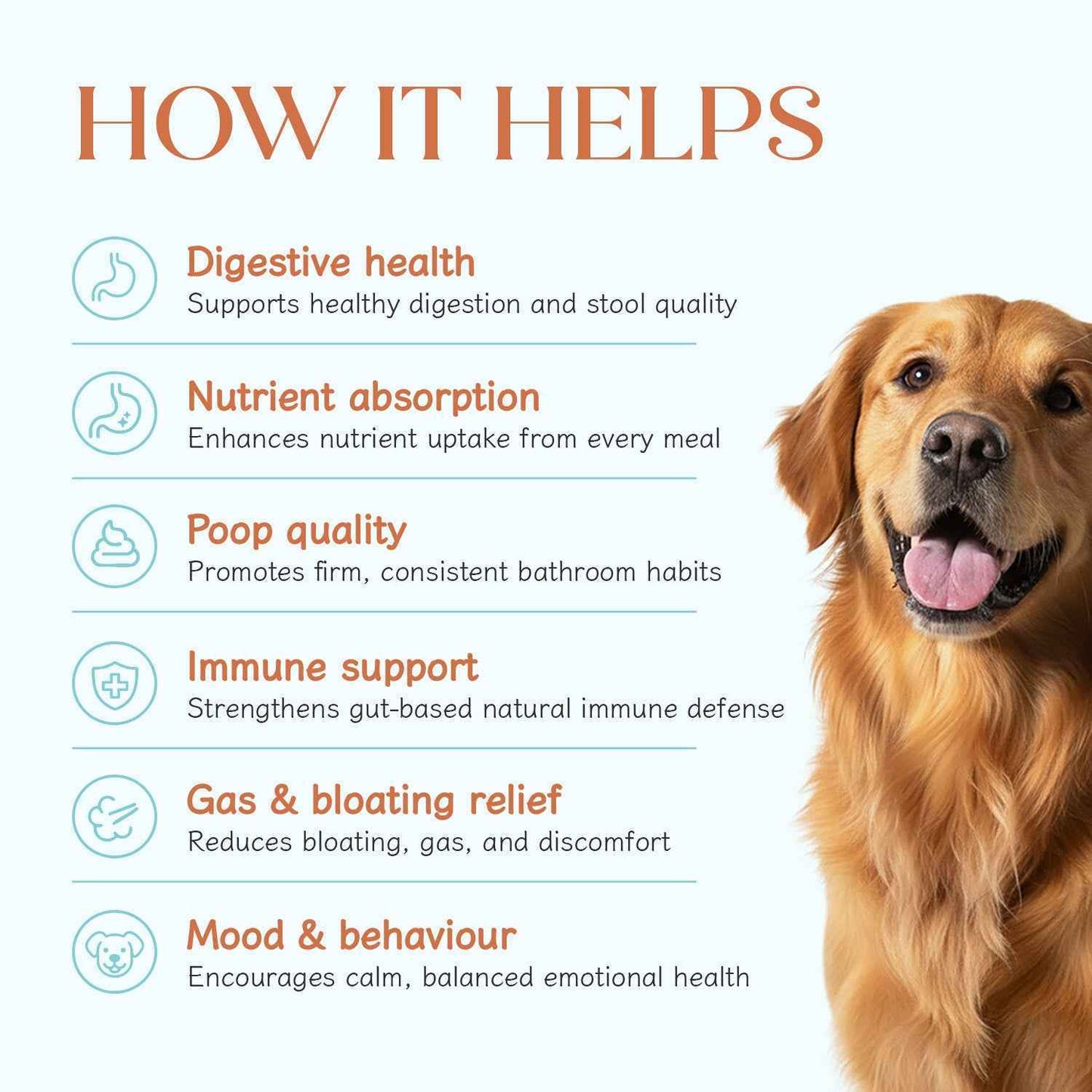Pre + Probiotic Chicken Hoplet™ for Dogs | Gut Health Chew (90 Hoplets)