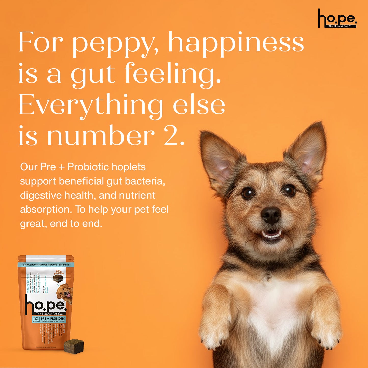 Pre + Probiotic Chicken Hoplet™ for Dogs | Gut Health Chew