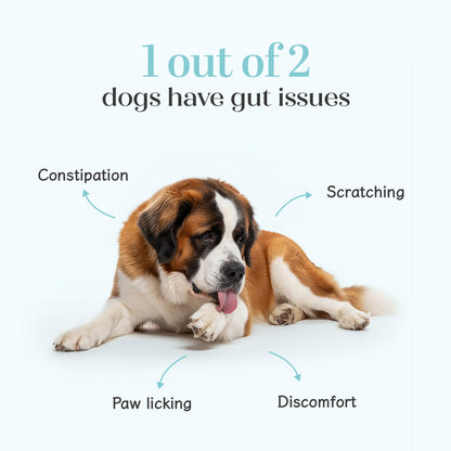 Pre + Probiotic Chicken Hoplet™ for Dogs | Gut Health Chew