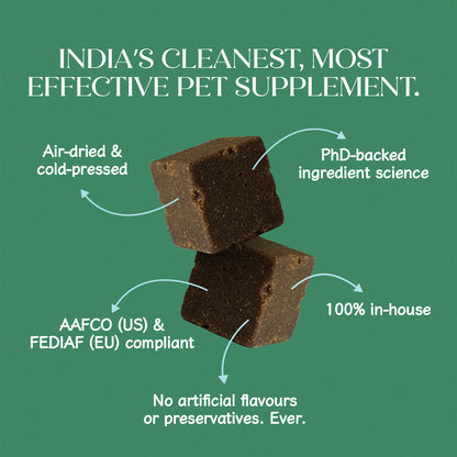 Pre + Probiotic Vegan Hoplet™ for Dogs | Gut Health Chew