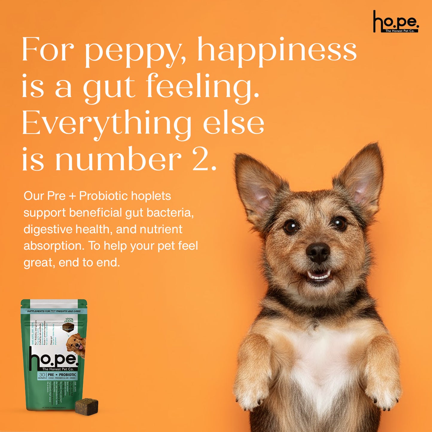 Pre + Probiotic Vegan Hoplet™ for Dogs | Gut Health Chew