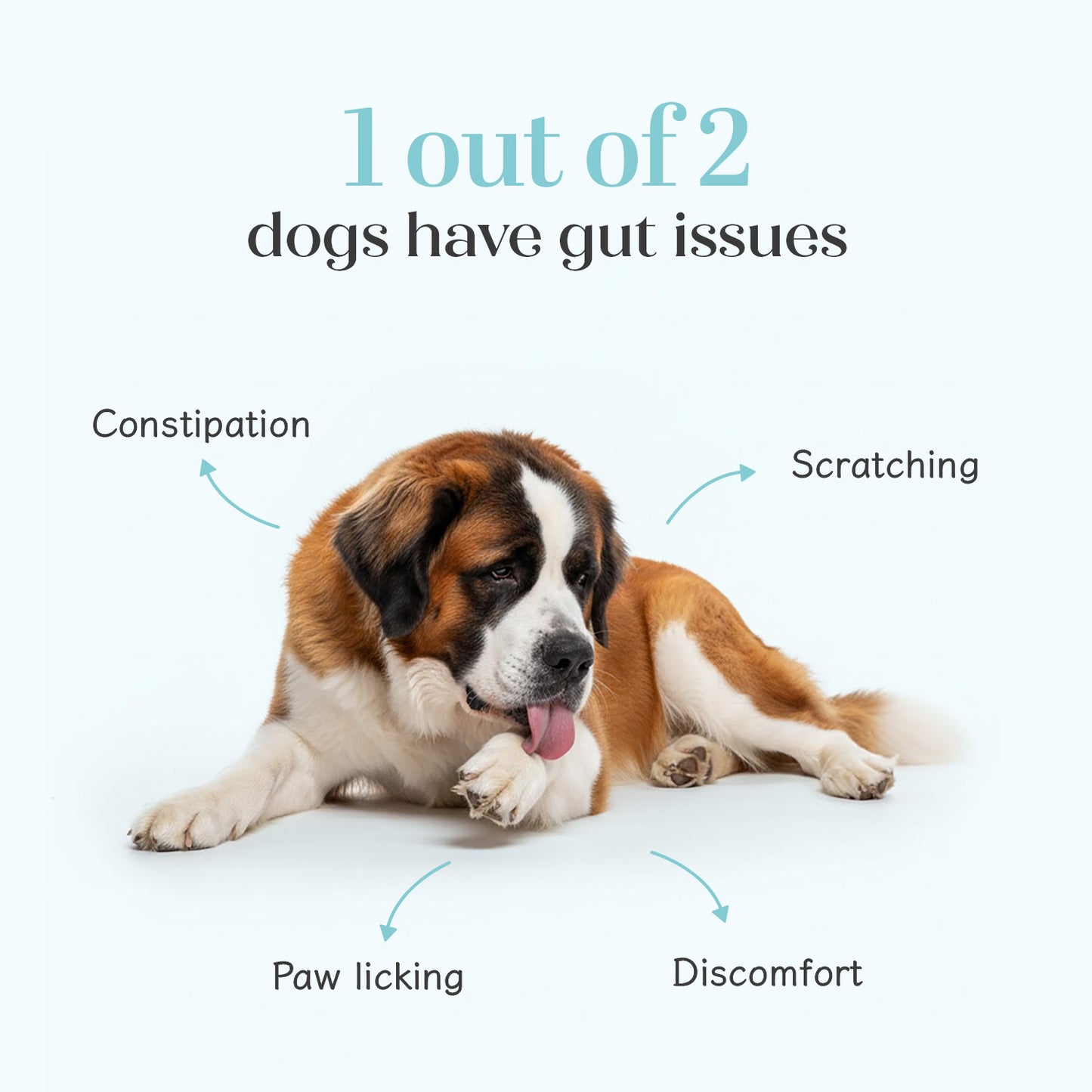 Pre + Probiotic Vegan Hoplet™ for Dogs | Gut Health Chew