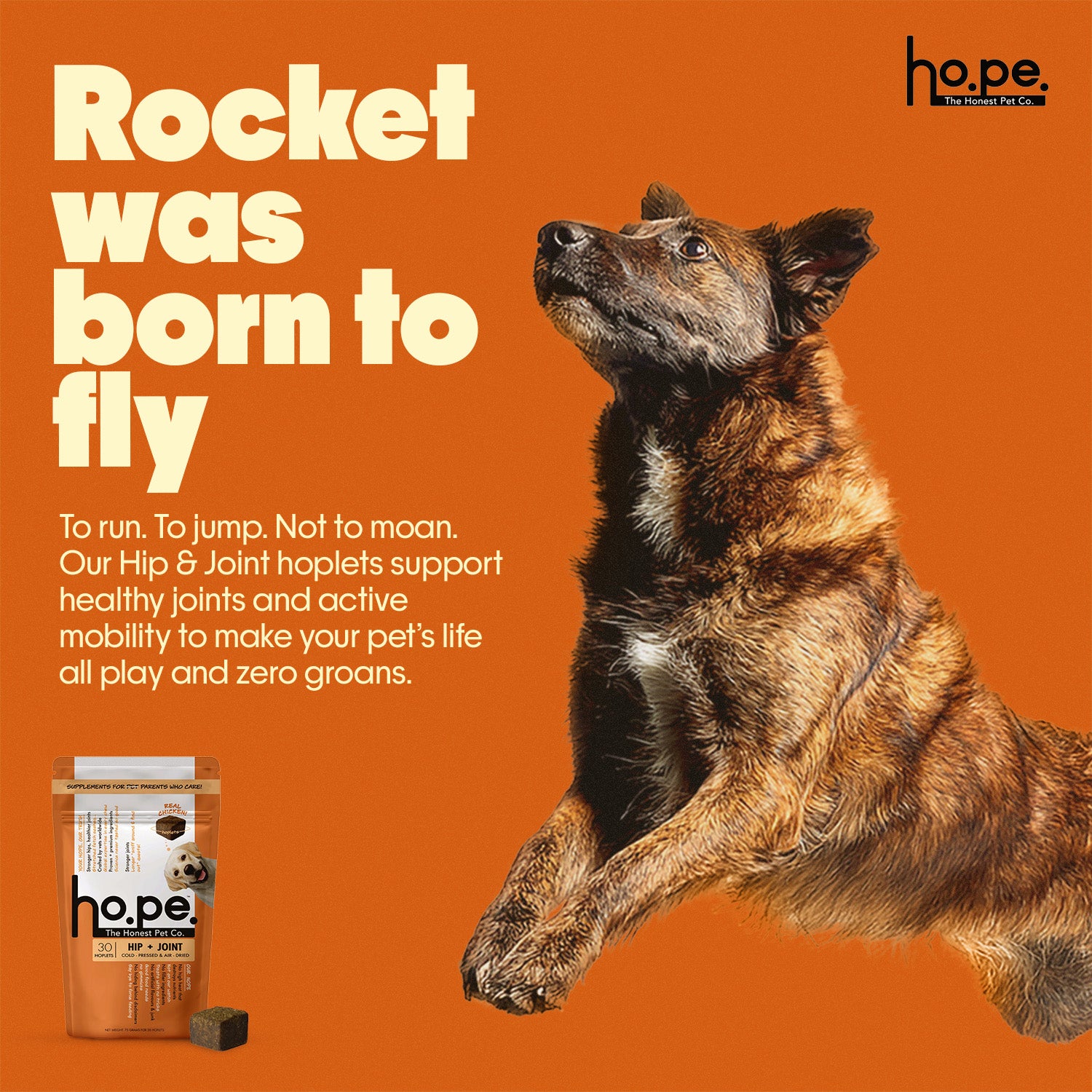 Hip + Joint Chicken Hoplet™ for Dogs | Mobility Chew 90 Hoplets