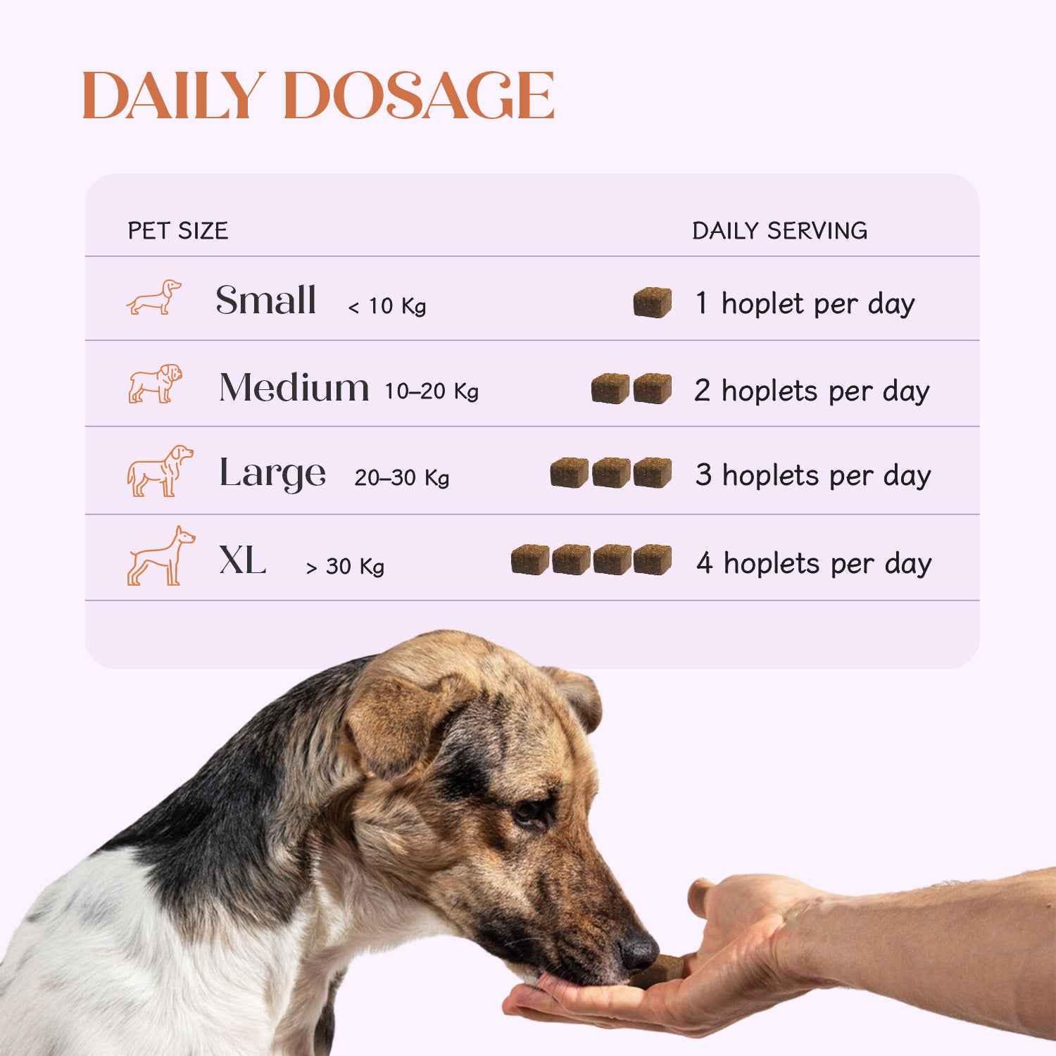 Skin + Coat Chicken Hoplet™ for Dogs | Shine & Itch Chew 90 Hoplets