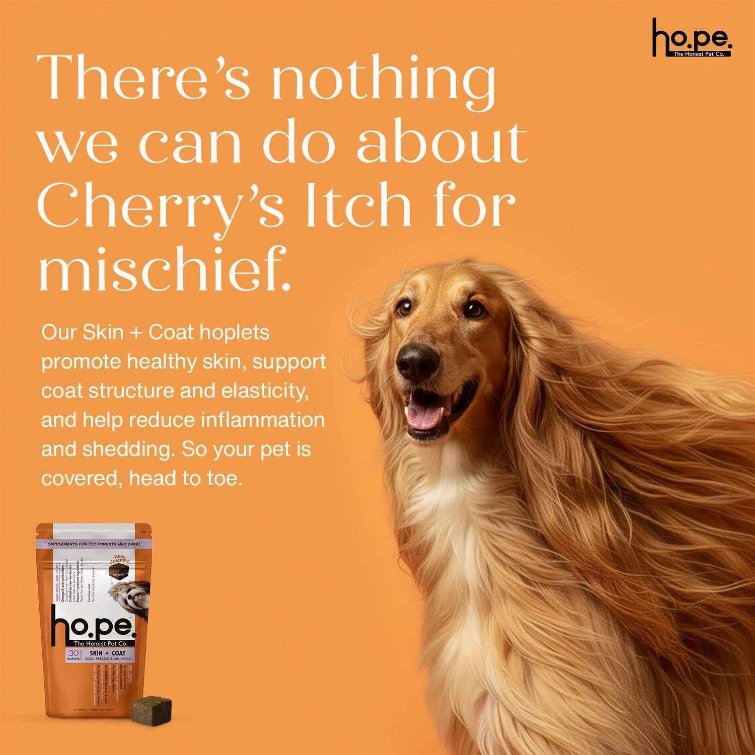Skin + Coat Chicken Hoplet™ for Dogs | Shine & Itch Chew 90 Hoplets