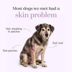Skin + Coat Chicken Hoplet™ for Dogs | Shine & Itch Chew 90 Hoplets