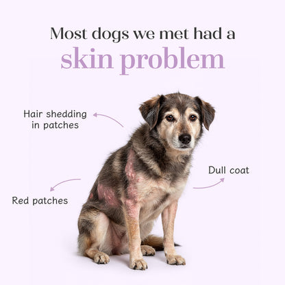 Skin + Coat Chicken Hoplet™ for Dogs | Shine & Itch Chew