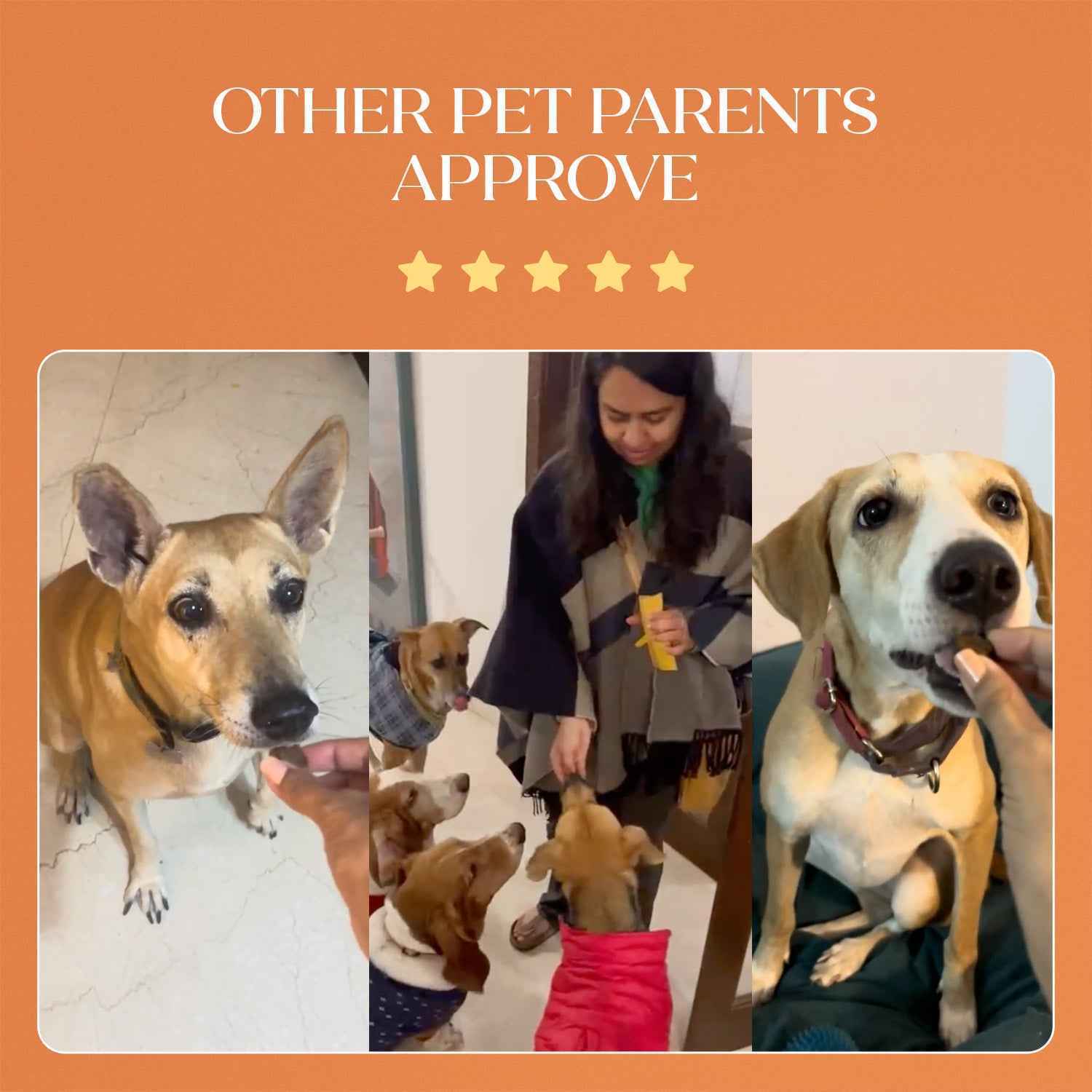 Skin + Coat Chicken Hoplet™ for Dogs | Shine & Itch Chew (90 Hoplets)