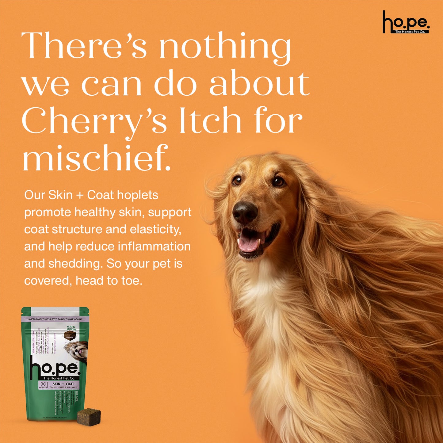 Skin + Coat Vegan Hoplet™ for Dogs | Shine & Itch Chew