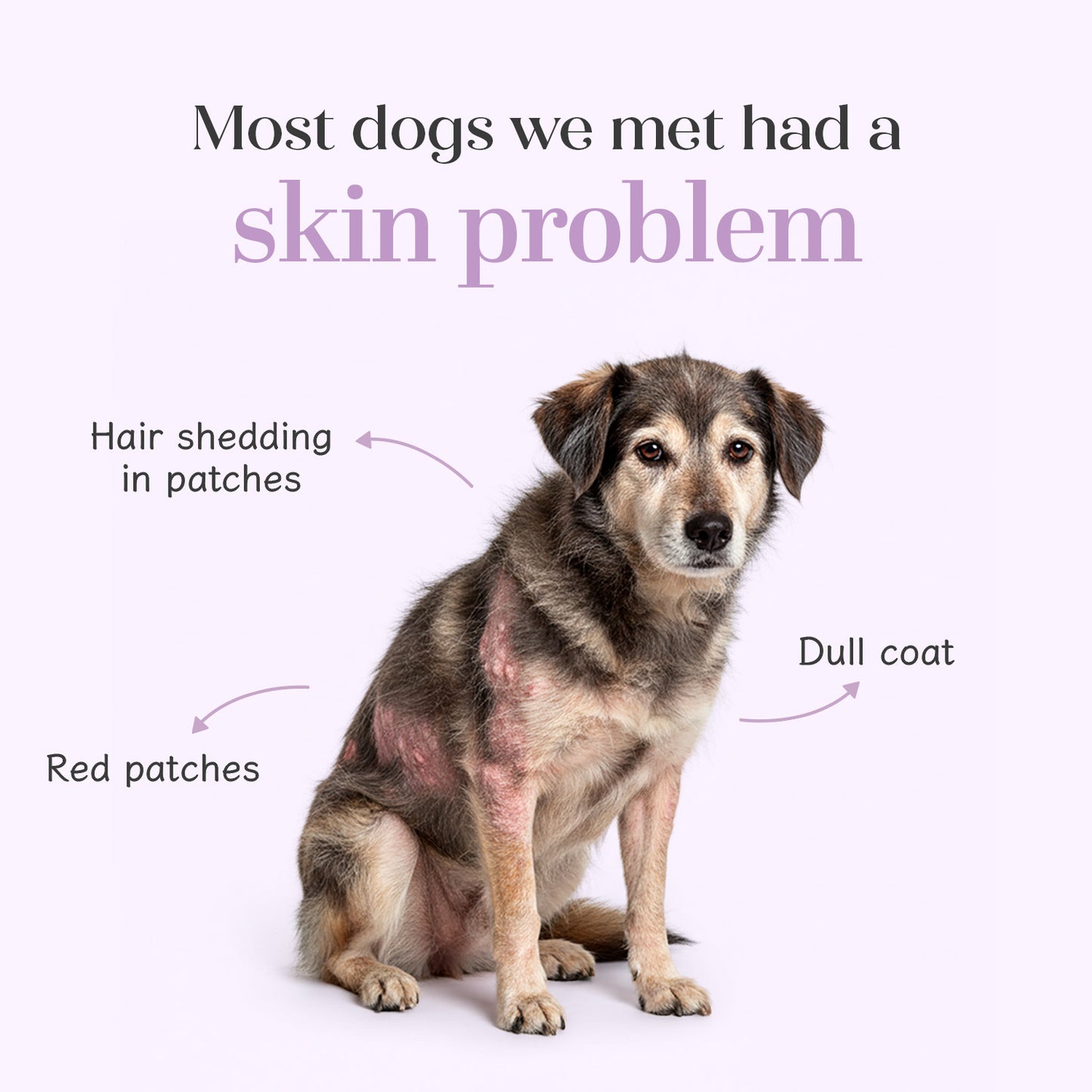 Skin + Coat Vegan Hoplet™ for Dogs | Shine & Itch Chew