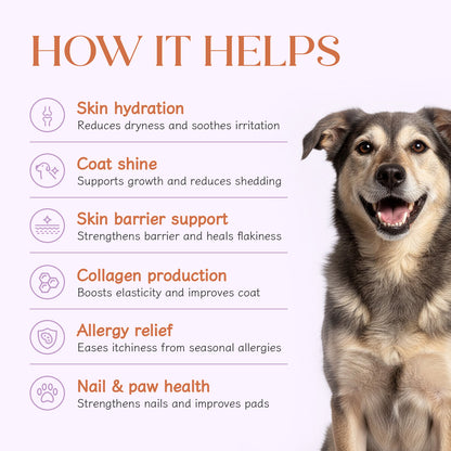 Skin + Coat Vegan Hoplet™ for Dogs | Shine & Itch Chew
