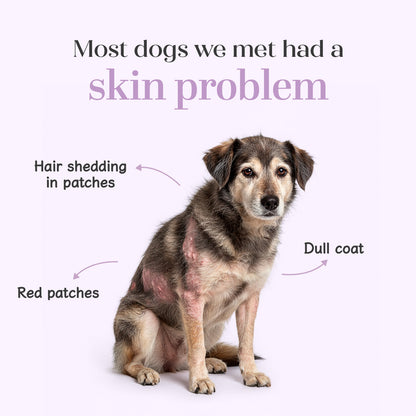 Skin + Coat Chicken Hoplet™ for Dogs | Shine & Itch Chew