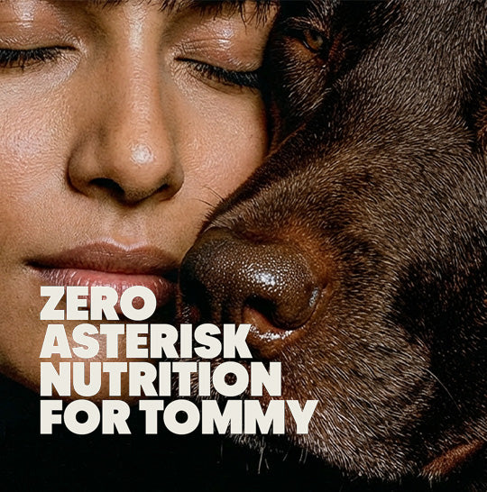 Honest Dog Supplements & Probiotic Chews | ho.pe.