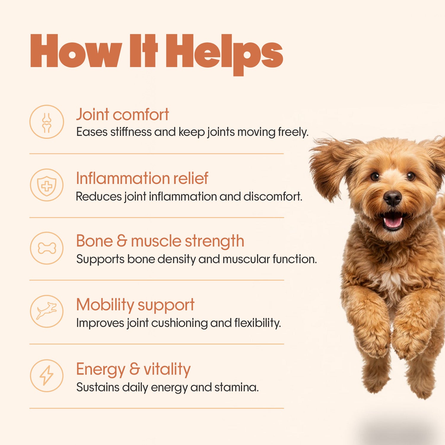 Hip + Joint Vegan Hoplet™ for Dogs | Mobility Chew 60 Hoplets