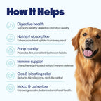 Pre+Probiotic Vegan Hoplet™ | Paw Licking & Scratching Relief | Gut Health 60 Hoplets