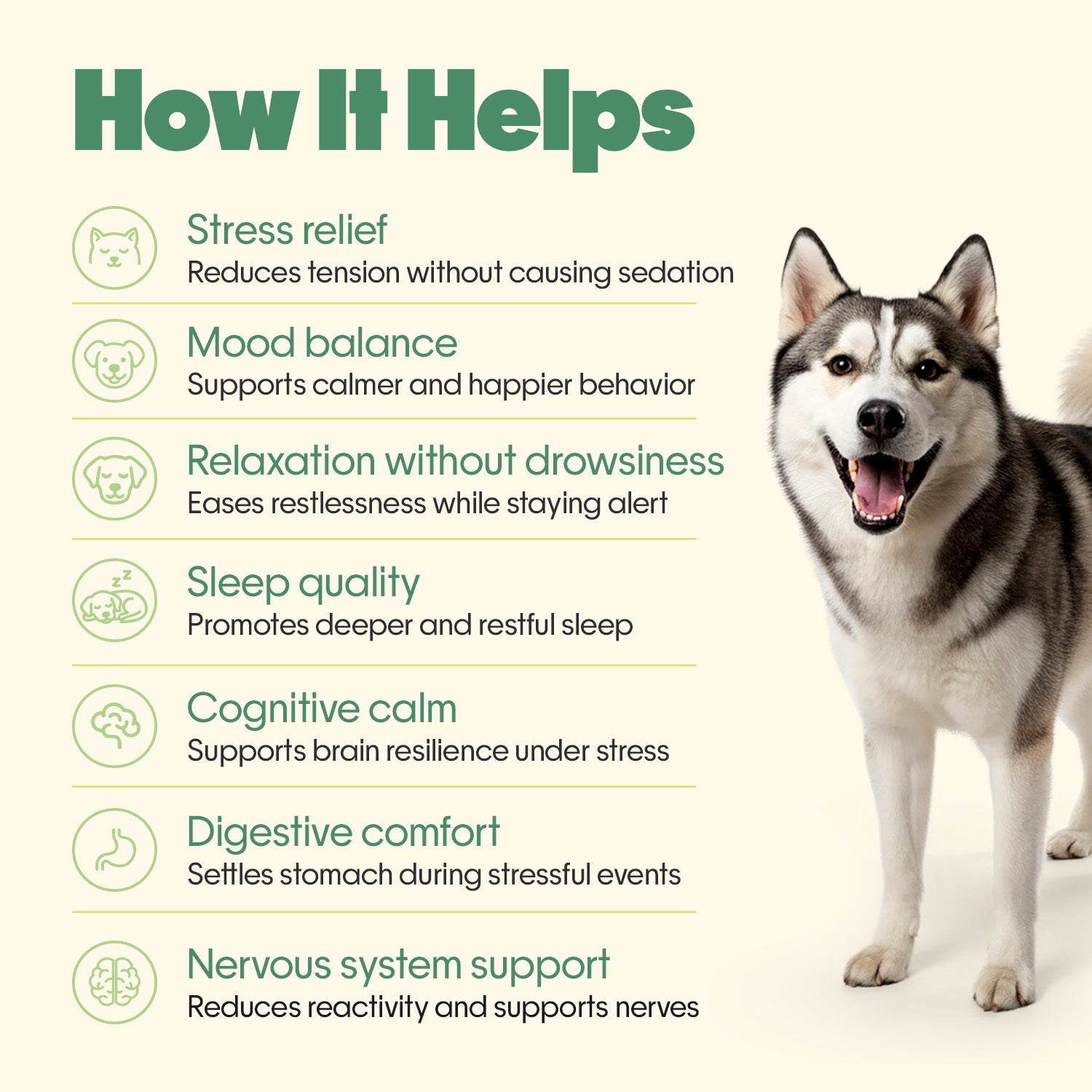Calming Vegan Hoplet™ for Dogs | Anxiety Relief Chew 60 Hoplets
