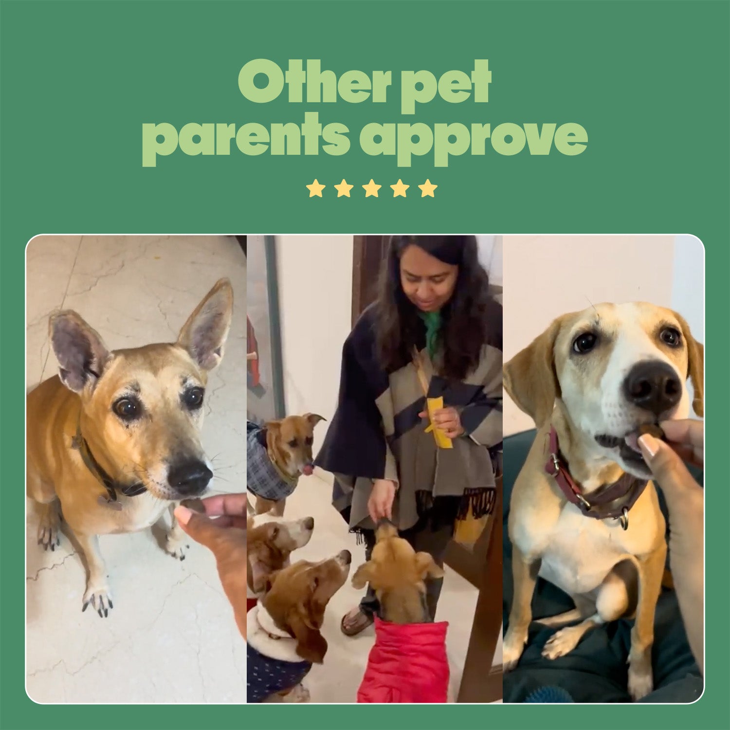 Calming Vegan Hoplet™ for Dogs | Anxiety Relief Chew 60 Hoplets