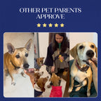 Pre+Probiotic Vegan Hoplet™ | Paw Licking & Scratching Relief | Gut Health 60 Hoplets